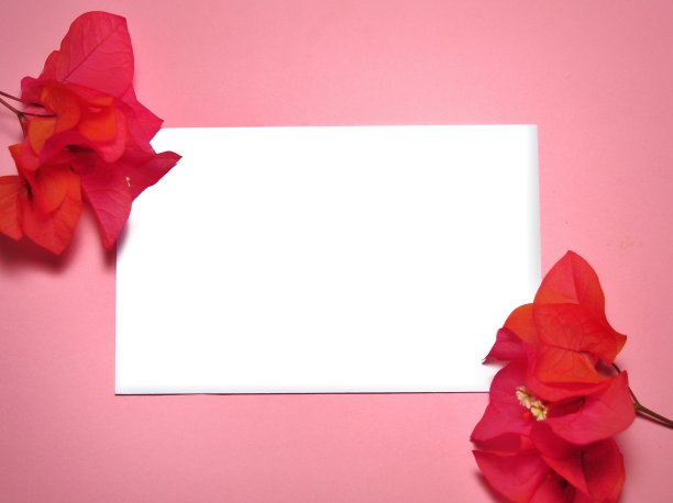 带有花卉图案的空白纸图片下载