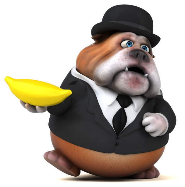 有趣的斗牛犬- 3D插图图片下载