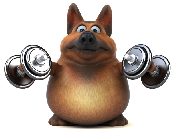 德国牧羊犬- 3D插图图片下载