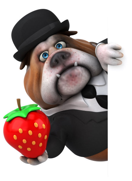 有趣的斗牛犬- 3D插图图片下载