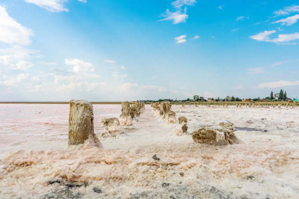 粉红色的盐湖中，旧木堆着粉红色的天然盐晶体。伟大的地球自然景观。用盐和泥拍摄美丽的风景。旅行的照片图片下载