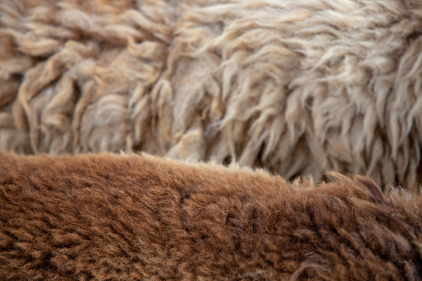 长羊毛质地的服装纺织品图片下载