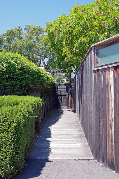 沿着篱笆的小径图片下载