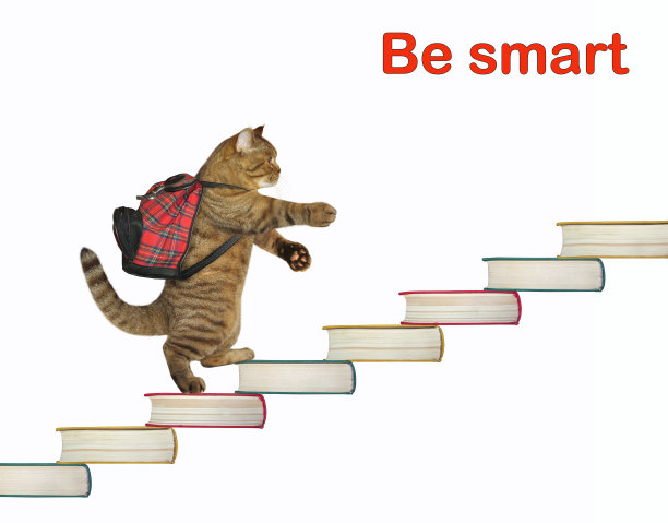 猫走向成功2图片下载