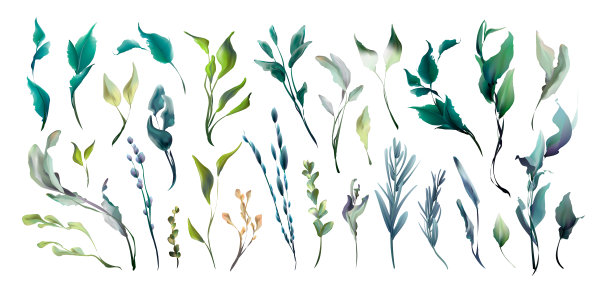 婚礼请帖框集，花，叶，乱和水彩最小矢量。图片下载