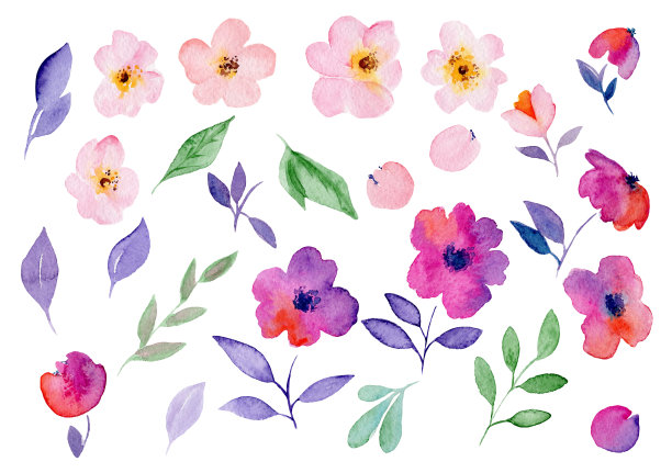 玫瑰插画素材ID：342819810