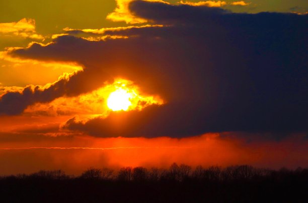 抓住太阳的手图片下载