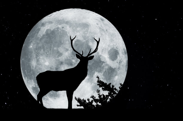 满月前的剪影，树和骄傲的鹿角图片下载