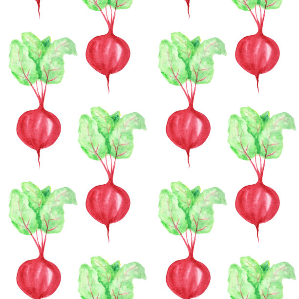 无缝图案水彩画收集红色蔬菜、甜菜。卡通风格在白色背景上手绘新鲜的素食。秋天织物纹理图片下载