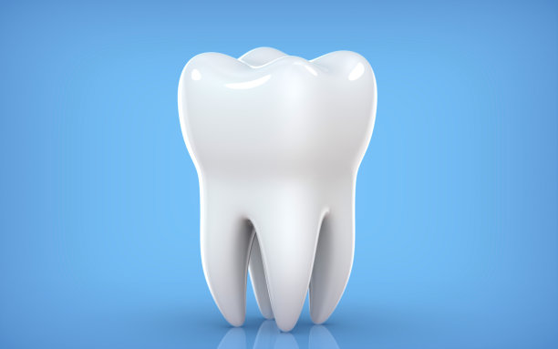 牙齿模型的前磨牙，3d渲染在蓝色背景。3d插图作为牙科检查牙齿的概念，牙科保健和卫生。图片下载