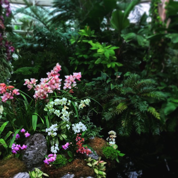 克斯植物园图片下载