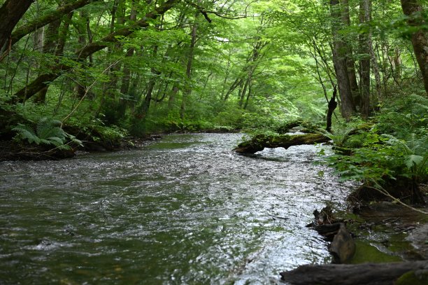 在仲夏时，河流会被冲刷图片下载