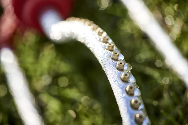 喷泉浇灌草坪图片下载