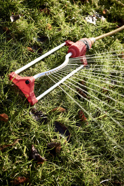 喷泉浇灌草坪图片下载
