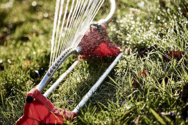喷泉浇灌草坪图片下载