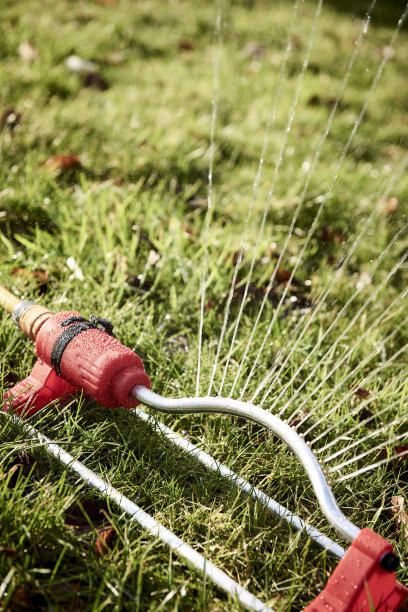 喷泉浇灌草坪图片下载