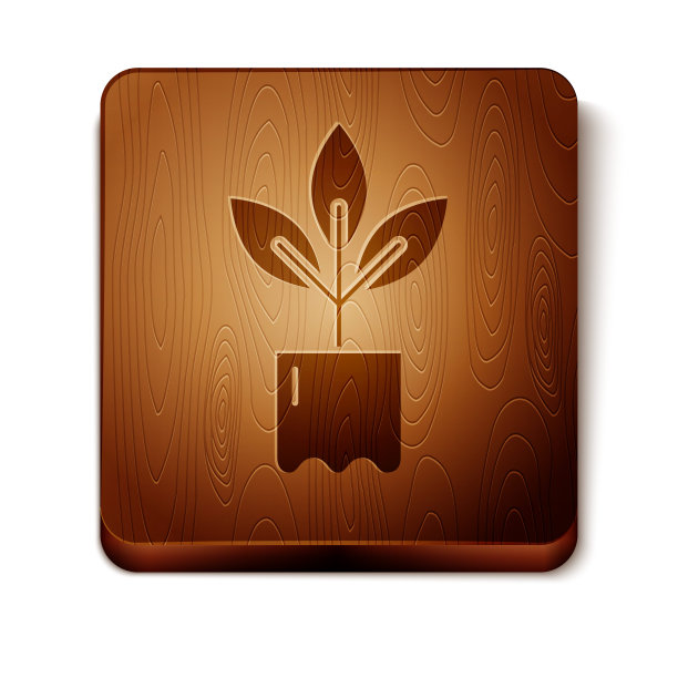 瓶中的棕色植物图标孤立在白色背景上。种子和幼苗。叶子的迹象。叶自然。木制方形按钮。矢量图图片下载
