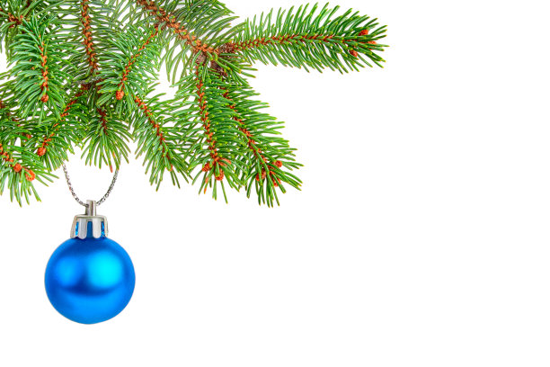 冷杉树枝上的圣诞球图片下载