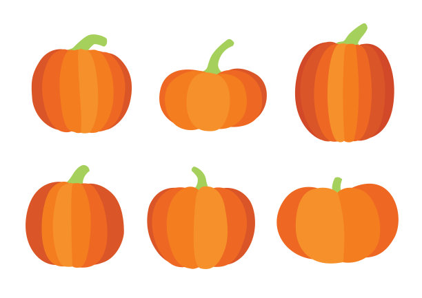 南瓜万圣节设计在白色背景插图矢量图片下载