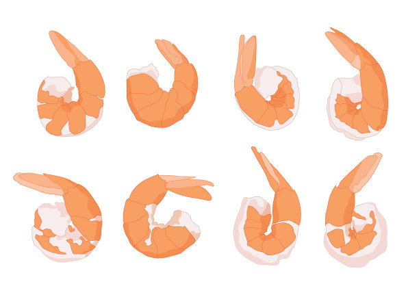 煮虾孤立在白色背景插图向量图片下载