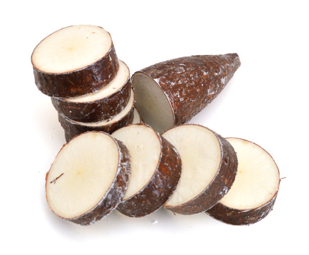 丝兰木薯根，孤立于白色图片下载