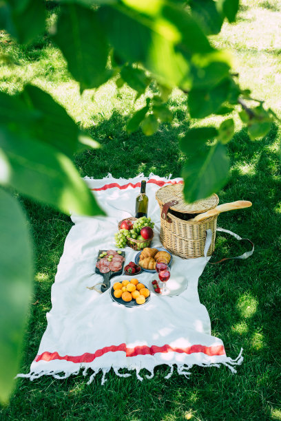 野餐在公园的绿色草地上，水果，葡萄酒，法棍和篮子。图片下载