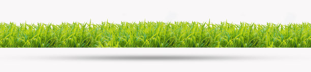 白色背景上的绿草。图片下载