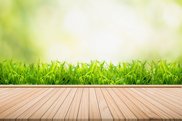 木地板以清新的草为背景，以虚化的自然为背景图片下载