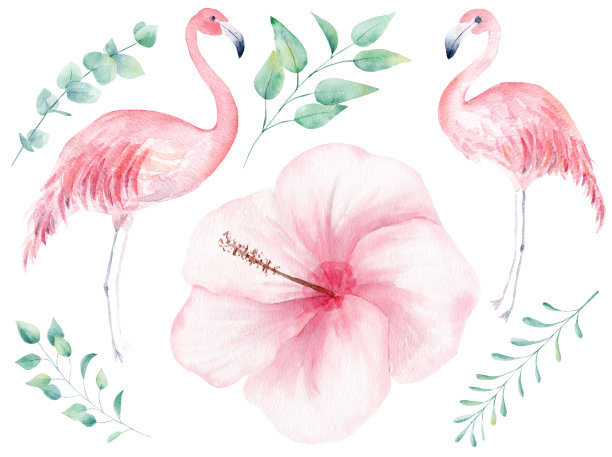 热带自然手绘水彩栅格插图集素材图片