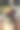 在社区公园拍摄的罗得西亚脊背龙照片。图片下载
