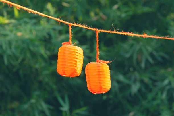 树上五颜六色的橙色装饰图片下载