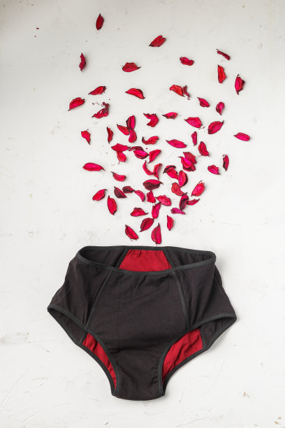 可重复使用的女性月经卫生裤图片下载