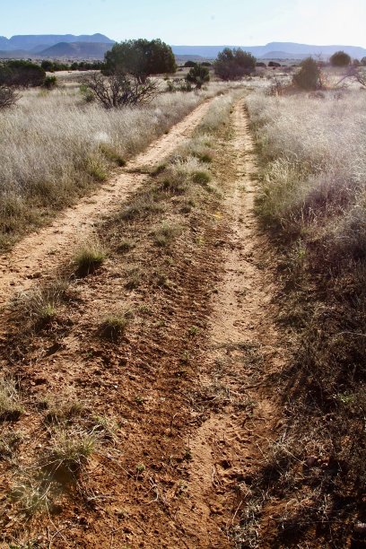 崎岖的道路穿过亚利桑那州的山艾树图片下载