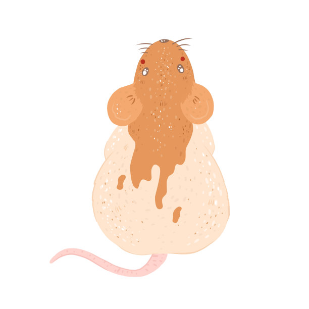 可爱的老鼠。新年快乐，圣诞快乐。图片下载