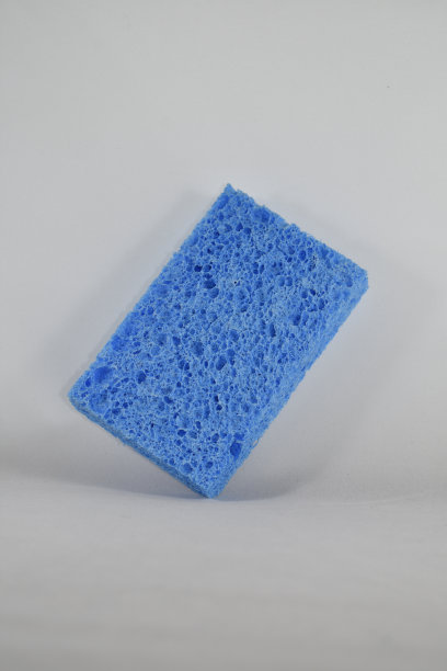小蓝海绵图片下载