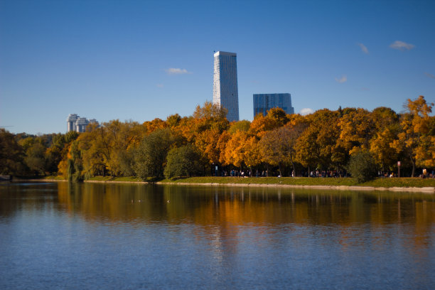 秋天，在蓝色的天空和摩天大楼的映衬下，美丽的池塘和公园里的黄树。莫斯科公园的秋景。图片下载