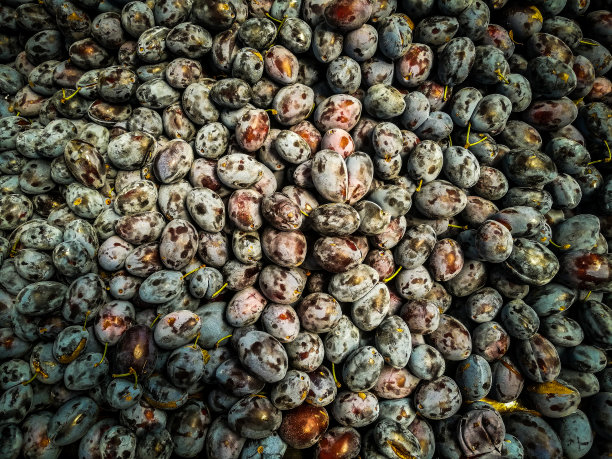 一堆新鲜的有机梅子在食品市场出售图片下载