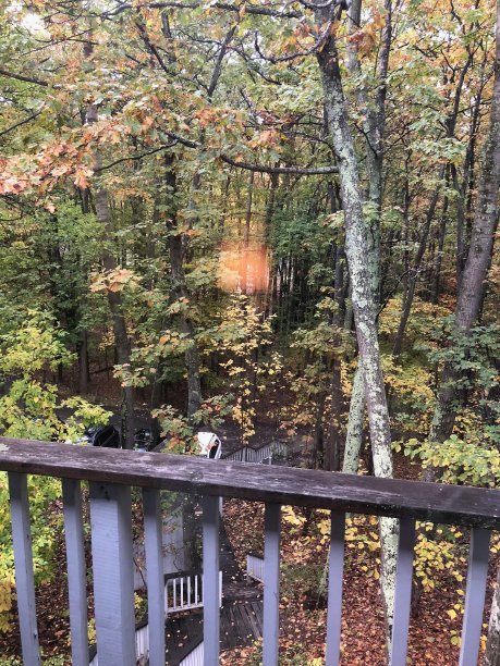 伍兹从甲板上图片下载