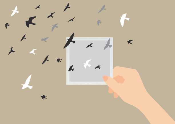 照片中的鸽子飞了出来图片下载