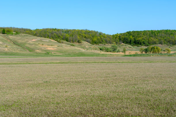 美丽的春景:树木、森林、山峦、丘陵、田野、草地、蓝天。图片下载