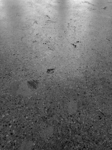 混凝土地面纹理与反射图片下载