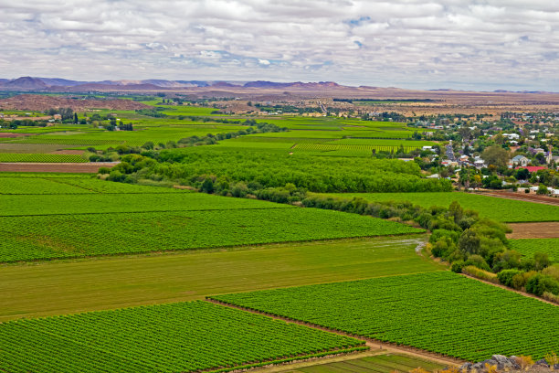 气候干旱的河边葡萄园图片下载