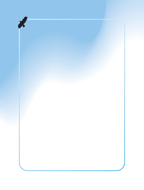 鸟飞高架图片下载