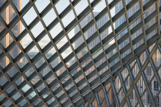 西雅图中央图书馆的幕墙图片下载