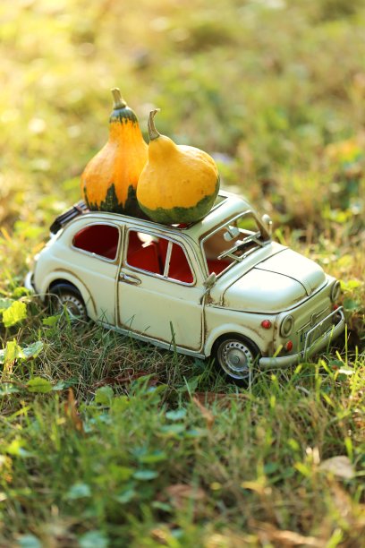 秋天的概念。在明亮的晨光中，一辆白色的南瓜车停在草坪上，模糊的花园背景。秋天的季节。图片下载