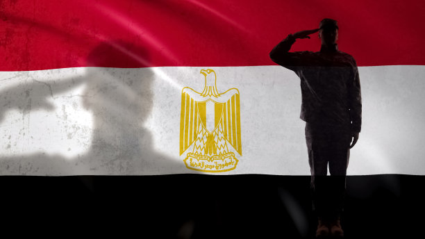 埃及士兵剪影向国旗敬礼，国家力量图片下载