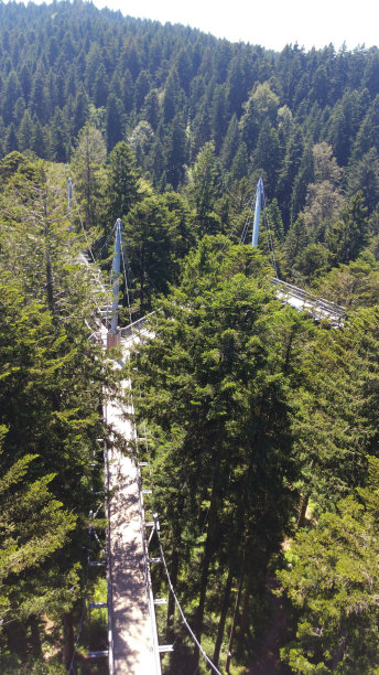 谢德格的天行道图片下载