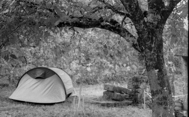 伊尔福德马力5图片下载