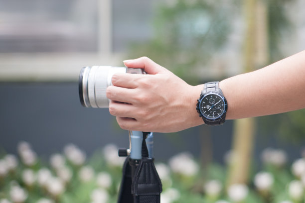 在拍摄图片下载