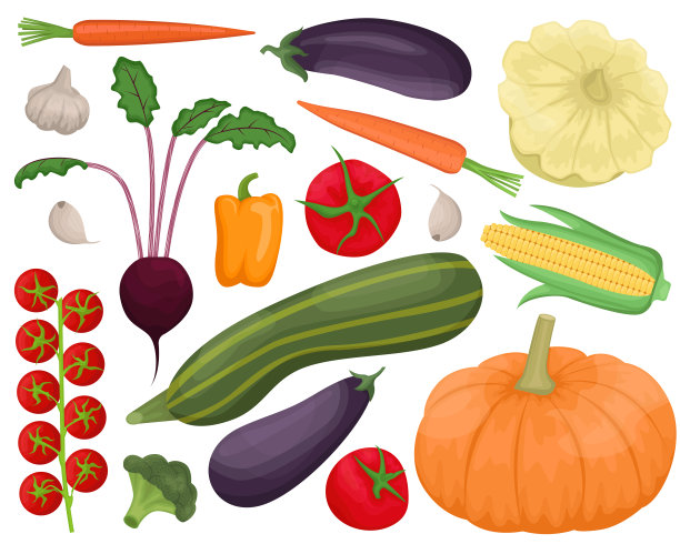 一套16种秋季蔬菜。收成。平面向量插图图片下载